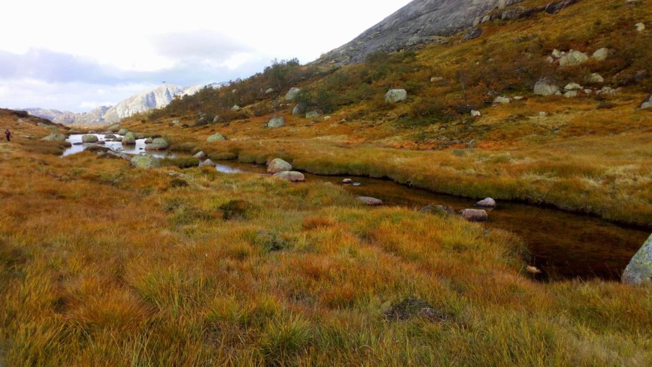 Fidjeland Sirdal Hoyfjellshotell المظهر الخارجي الصورة